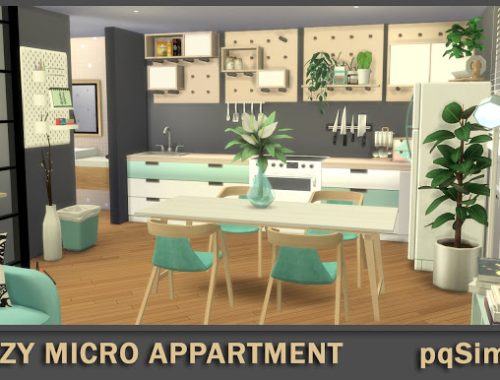 Eclectic 3º D Cozy Micro Appartment at pqSims4