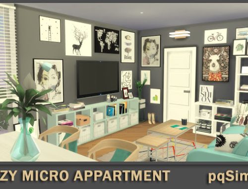 Eclectic 3º D Cozy Micro Appartment at pqSims4