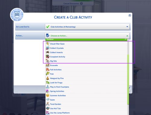 Custom Club Activities