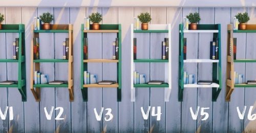 EDGIER LADDERCASE BOOKCASE SET at Picture Amoebae