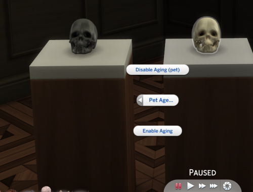 The Skull of Life and Death