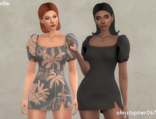 Ellie Dress / Christopher067