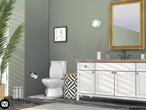 Erbium Bathroom