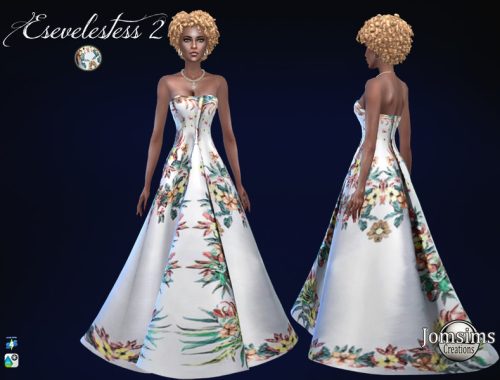 Esevelestess dress 2