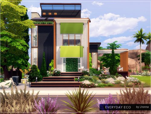 Everyday Eco