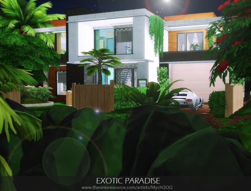 Exotic Paradise