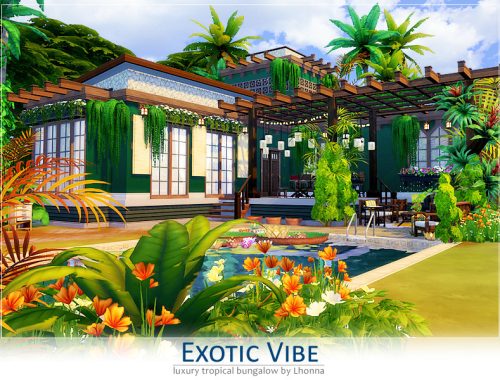 Exotic Vibe