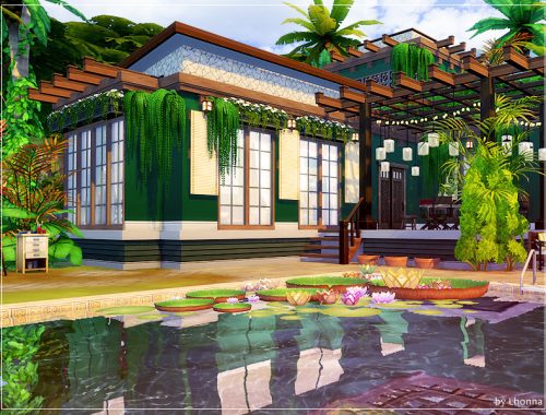 Exotic Vibe
