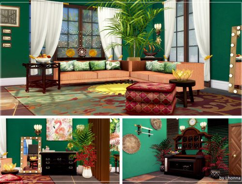 Exotic Vibe