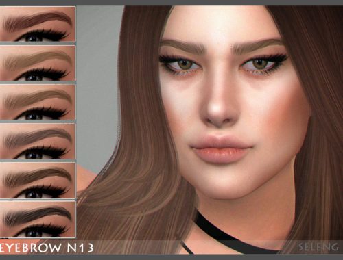 Eyebrow N13