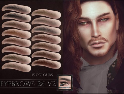 Eyebrows 28 V2