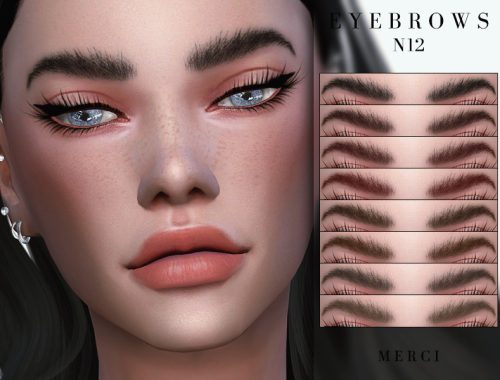 Eyebrows N12