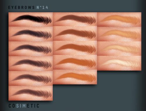 Eyebrows N14