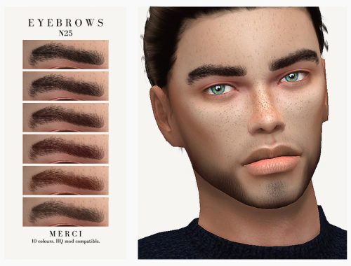 Eyebrows N25