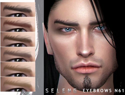 Eyebrows N61