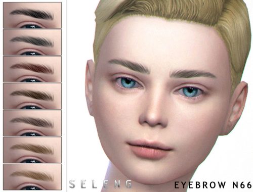 Eyebrows N66