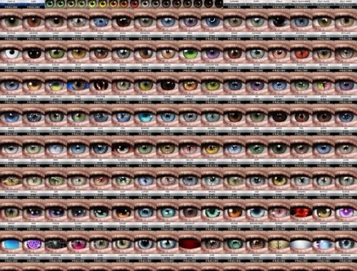Eyes Ultimate collection 232 items at Praline Sims