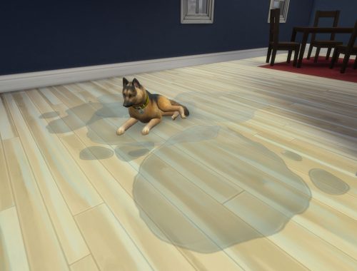 Dripping Sims