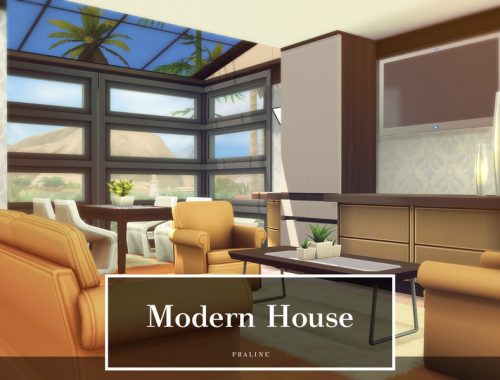 Modern House