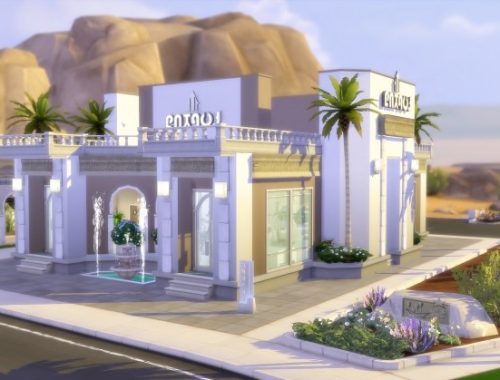 Fitness Center Oasis Springs at Via Sims