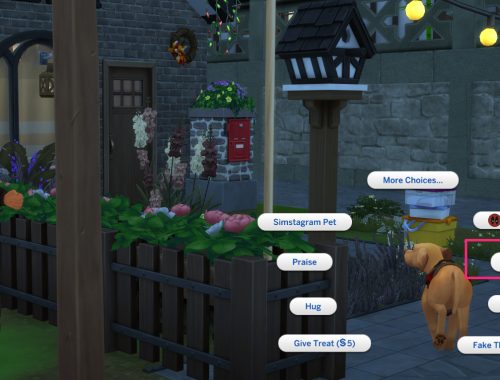 Pet Themed Holiday Traditions