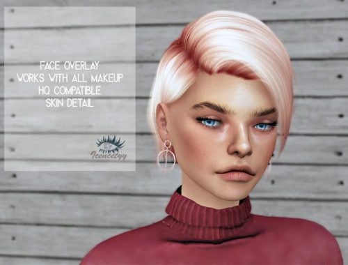 Face Overlay 1