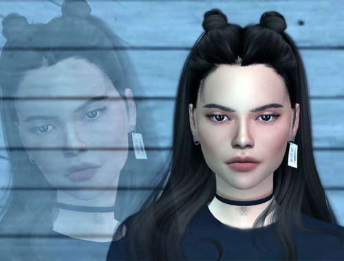 Face Overlay 1