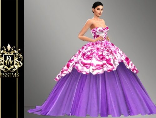 FALL 2010 GOWN (P) at MSSIMS