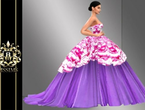 FALL 2010 GOWN (P) at MSSIMS