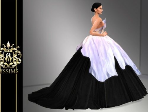 FALL 2010 GOWN (P) at MSSIMS