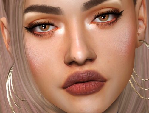 Fancy eyebrow kit at Praline Sims