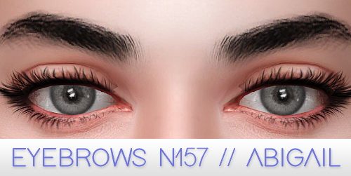 Fancy eyebrow kit at Praline Sims