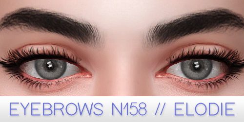 Fancy eyebrow kit at Praline Sims