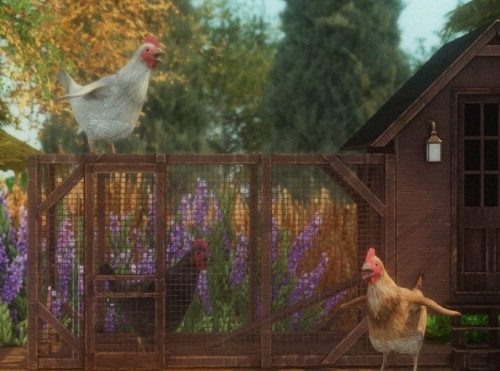 Farm Animal Set at MountainSplitter