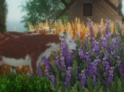 Farm Animal Set at MountainSplitter