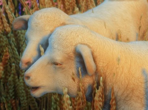 Farm Animal Set at MountainSplitter