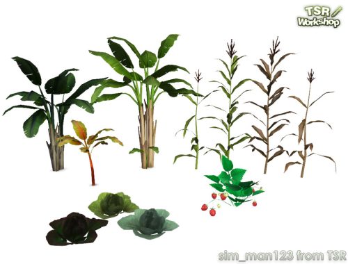 Farm Crops