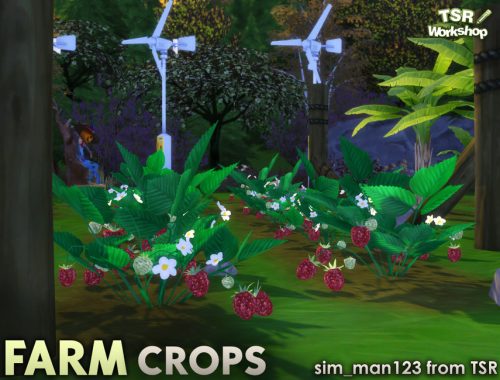 Farm Crops