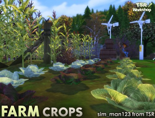 Farm Crops