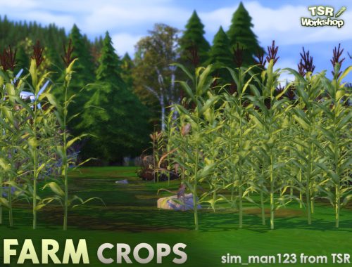 Farm Crops