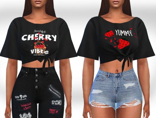 Farm Fruits Front Tied Crop Mesh Tops