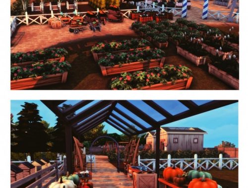Farm Market at Wiz Creations