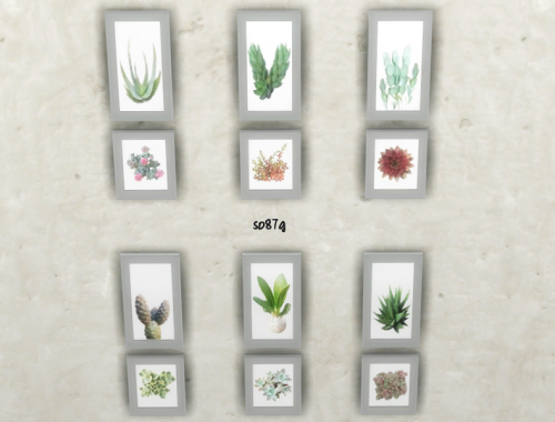 Fat plants pics