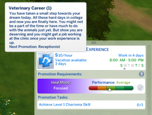 Veterinary Career