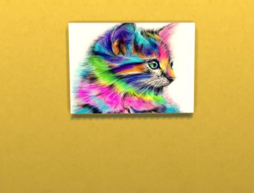 Feline Delights!