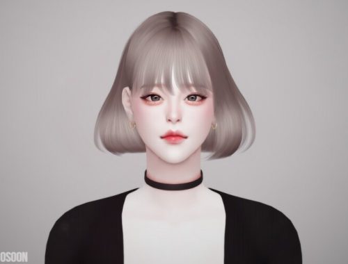 Female Hair 12 at Osoon