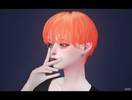 Female Hair 14 at Osoon