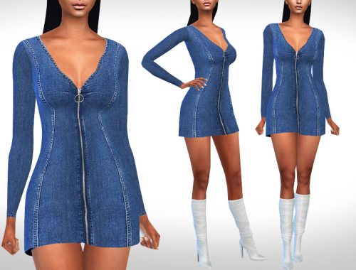 Female Long Sleeve Denim Dress