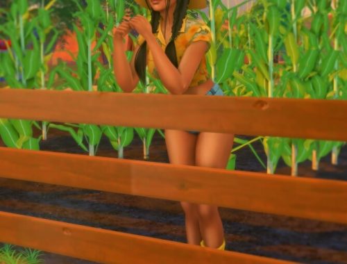 Fence Poses at Katverse
