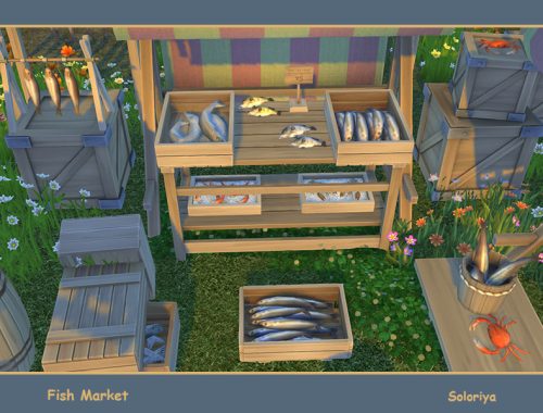 Fish Market